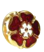 Tudor rose pin badge